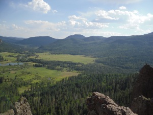 A view from Wolf Creek Pass